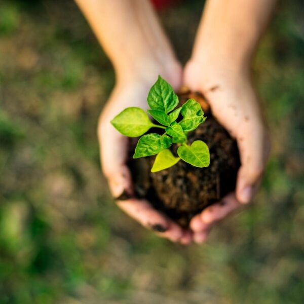 5 de junio: Día Mundial del medio ambiente